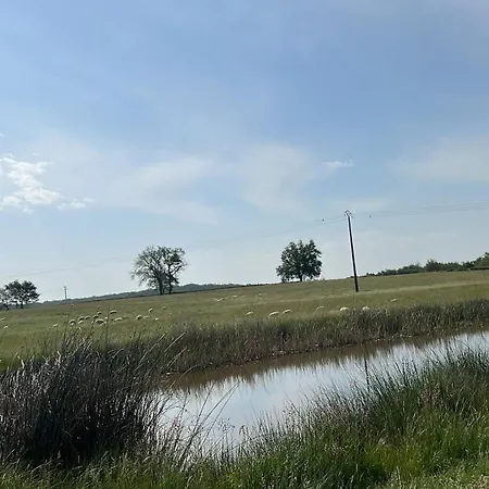 F2 Le Havre De Paix Au Rez De Chaussee 6 Personnes Moulins  Exterior photo